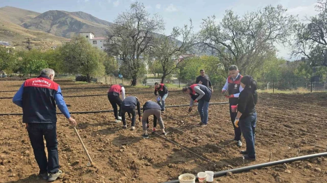 70 yaşındaki üretici Şehriban teyzenin yardımına tarım ekipleri yetişti