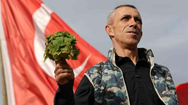 Beş dönümlük dağlık araziyi, tıbbi aromatik bitki bahçesine çevirdi