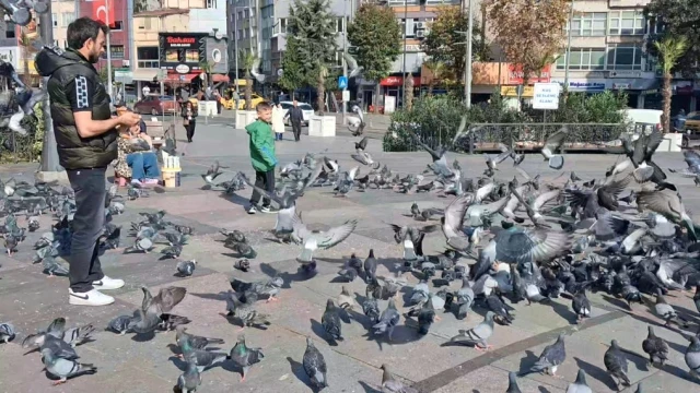 Bir yerde kış bir yerde yaz