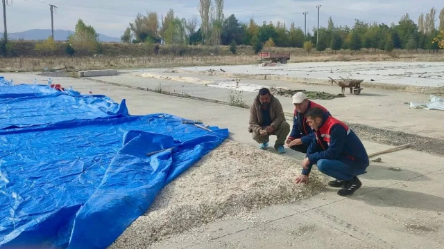 Çay’da kabak çekirdeği ve elma üreticilerine saha ziyareti