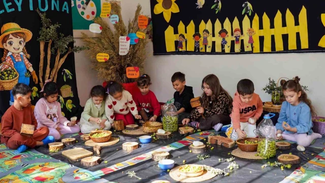 Çocuklar zeytin kırdı, geleneksel üretimle tanıştı