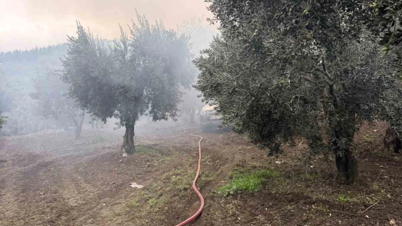 Erdek’te zeytinlik içerisindeki müstakil evde yangın çıktı