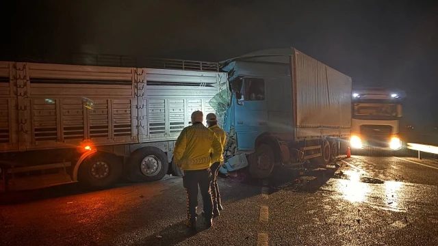Erzincan-Erzurum kara yolunda tır ile kamyon çarpıştı: 2 yaralı