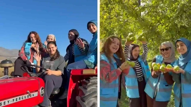 Erzincanlı öğrenciler Üzümlü’de meyve hasadına katıldı