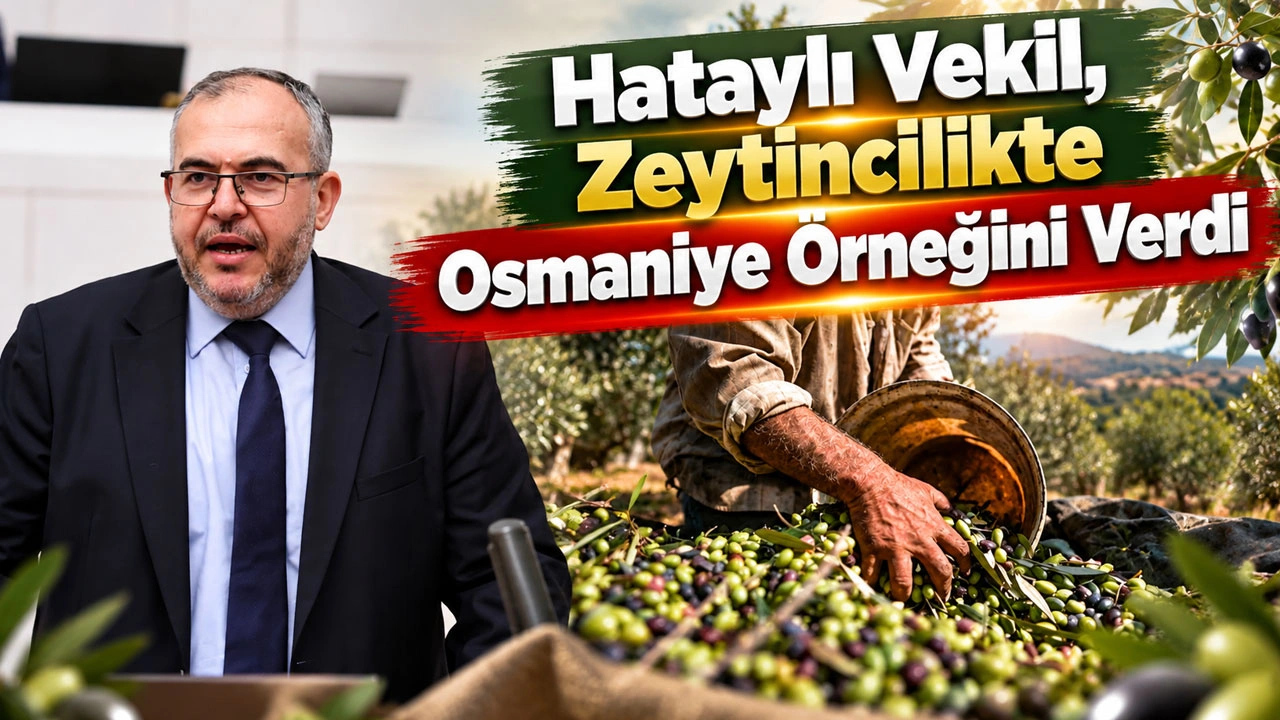 Hataylı Vekil, Zeytincilikte Osmaniye Örneğini Verdi