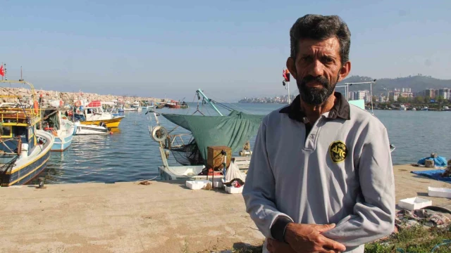 Karadeniz’de palamut bolluğu hamsi ve istavrit için risk oluşturuyor