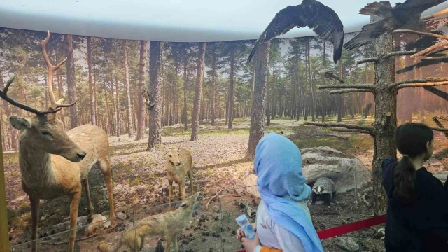Kütahya Çamlıca Tabiat Parkı’nda öğrencilere doğa eğitimi