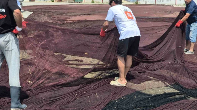 Marmara’da hayalet ağ operasyonu: 800 kiloluk atıklar güneş gözlüğüne dönüşüyor
