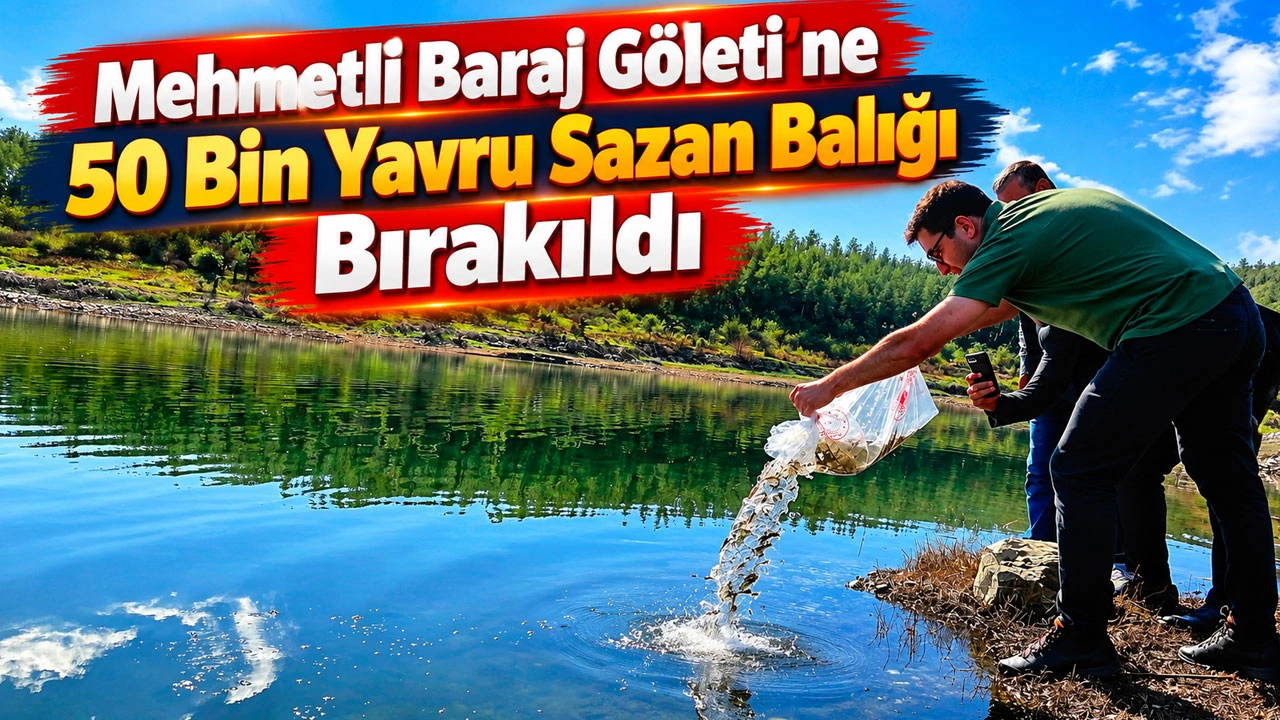 Mehmetli Baraj Göleti’ne 50 Bin Yavru Sazan Balığı Bırakıldı