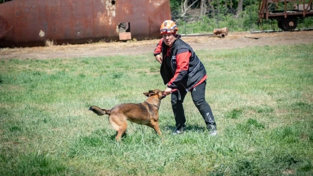Muğla’nın arama kurtarma köpekleri Tayga ve Foxy görev yeterlilik sınavını geçti