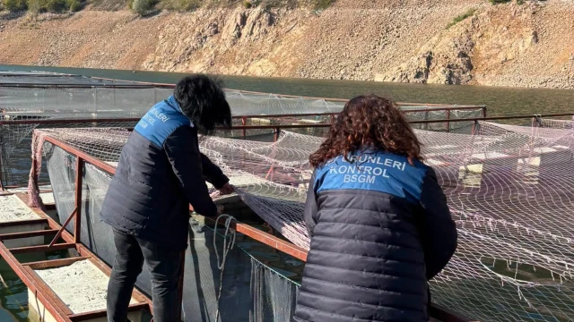 Ordu’da alabalık tesislerine denetim