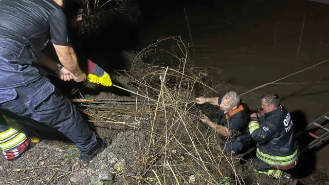 Ordu’da ırmakta mahsur kalan mikser sürücüsü kurtarıldı