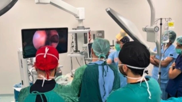 Rinoloji alanındaki güncel cerrahi yaklaşımlar Erzincan’da ele alındı