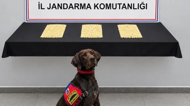 Şanlıurfa’da 2 bin 970 Captagon hap ele geçirildi