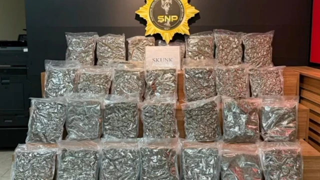 Şanlıurfa’da yolcu otobüsünde 16 kilo 400 gram skunk ele geçirildi