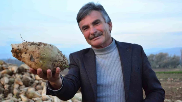 Şeker pancarı üreticisinin sözleri sosyal medyada gündem oldu: "’Ben kazanmıyorum’ diyen çiftçiler külliyen yalan söylüyor"