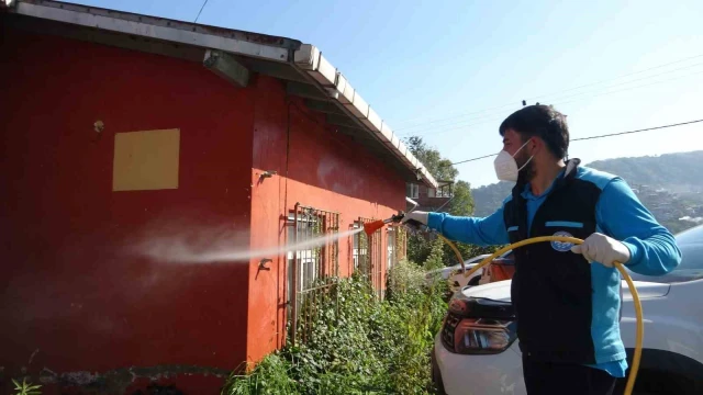Trabzon’da Kokarcaya Karşı 200 Bin Samuray Arısı