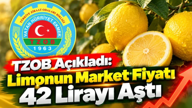 TZOB Açıkladı: Limonun Market Fiyatı 42 Lirayı Aştı