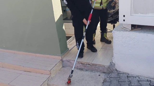 Yayladağı’nda yerleşim yerinde görülen yılan doğaya bırakıldı