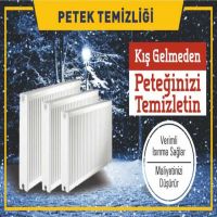 Petek Temizleme Hizmeti