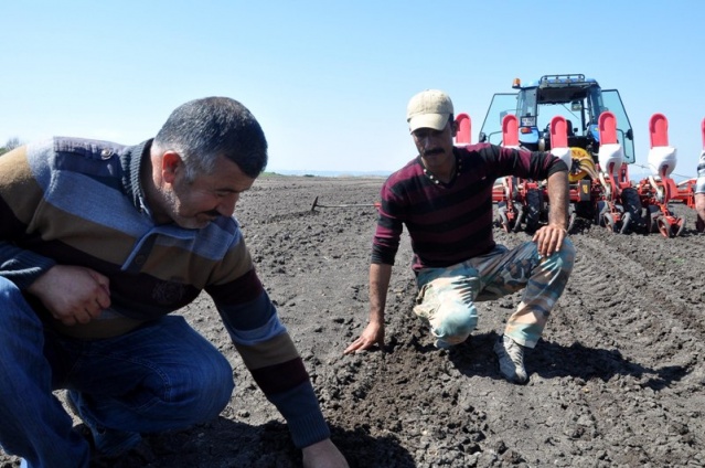 Sezonun ilk yerfıstığı tohumu toprakla buluştu