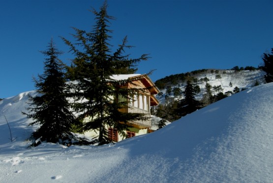 Osmaniye Resimleri
