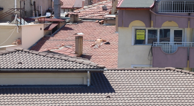 Burdur’da apartmanın çatısında çıplak güneşlenen kişi gözaltına alındı