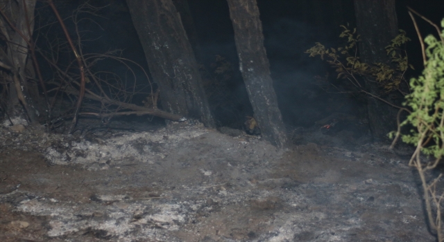 Amanos Dağları’ndaki örtü yangını kontrol altına alındı