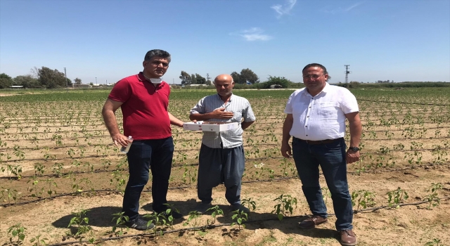 Tarsus Ziraat Odası Başkanı Veyis Avcı, çiftçileri ziyaret etti