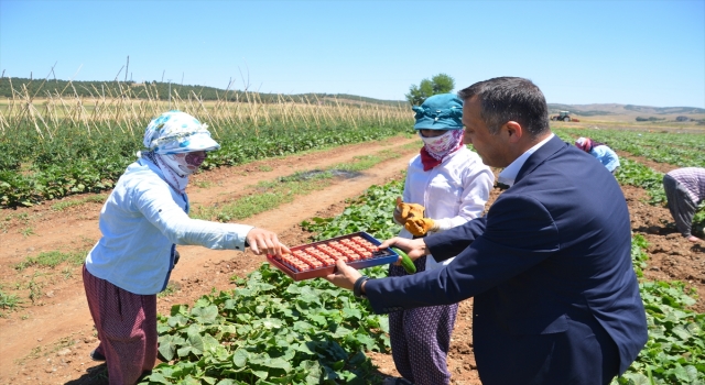 Kahramanmaraş’ta çalışan çiftçilere 14 Mayıs ziyareti