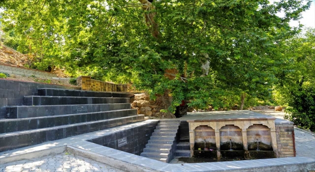 Kahramanmaraş’ta 812 yaşındaki çınar ağacına çevre düzenlemesi
