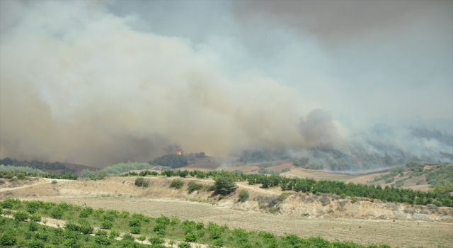Adana’da tarlada başlayıp ormanlık alana sıçrayan yangına müdahale ediliyor