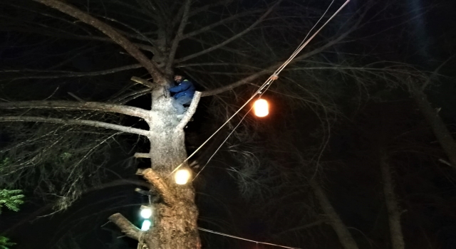 Burdur’da ağaca düşen yamaç paraşütçüsünü itfaiye kurtardı