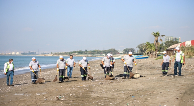 Mersin sahillerinde Suriye kaynaklı petrol sızıntısına ilişkin temizlik çalışmaları devam ediyor