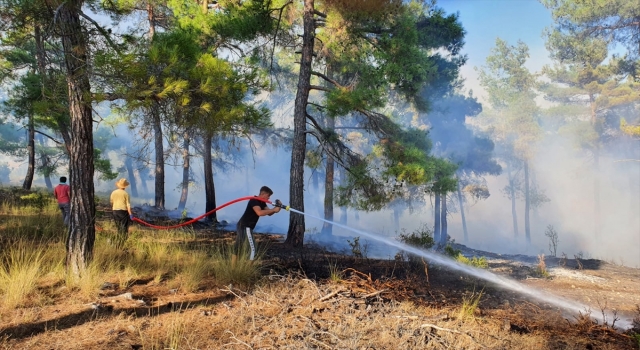 Tarsus’ta çıkan orman yangını kontrol altına alındı