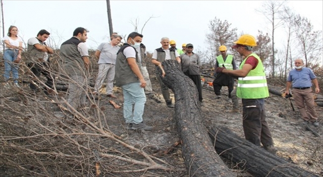 Adana Orman Bölge Müdürü Mahmut Yılmaz, Osmaniye’deki yangında yanan alanları inceledi