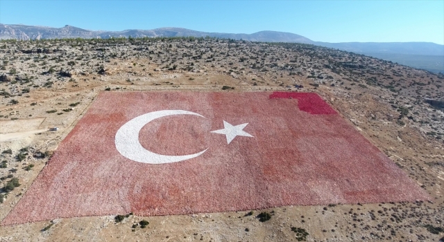 Mersin’de 22 dönümlük araziye işlenen Türk bayrağı esnafın desteğiyle boyanıyor