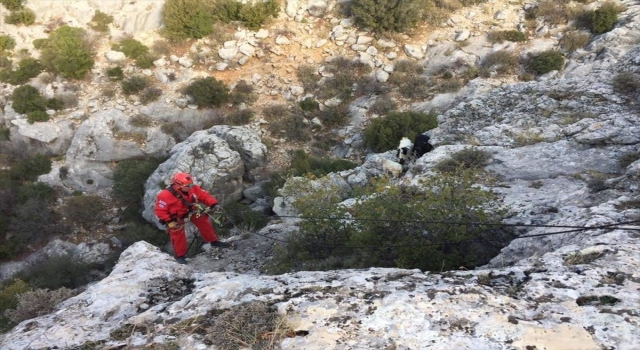 Mersin’de kayalıklarda mahsur kalan 4 küçükbaş hayvanı AKUT ekipleri kurtardı