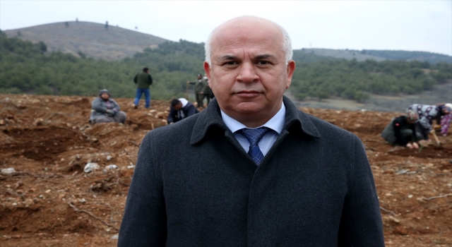 Kahramanmaraş’ta geçen yıl çıkan orman yangınlarının izleri siliniyor
