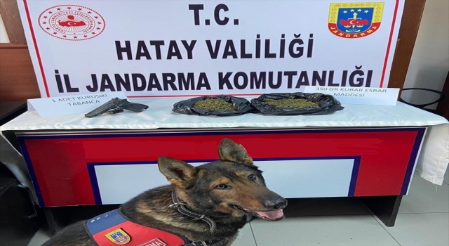 Antakya’da 390 gram esrar ele geçirildi