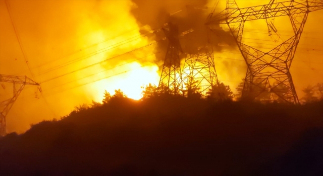 Hatay’da ormanlık alanda yangın çıktı