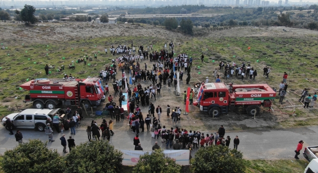 Mersin’de yanan ormanlık alanlar fidan ve tohumla buluştu