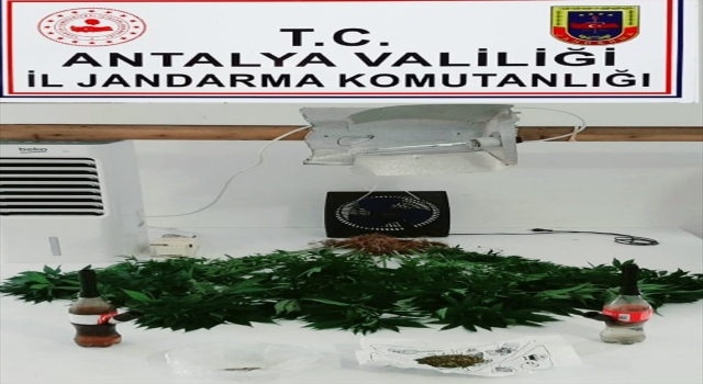Alanya’da gardıropta Hint keneviri yetiştiren zanlı yakalandı