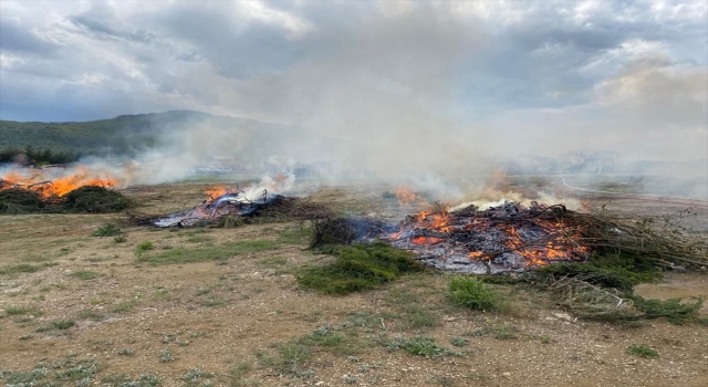 Bucak’ta orman yangını tatbikatı düzenlendi