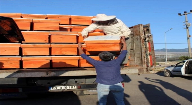 Mersin’de üreticilere 369 arılı kovan dağıtıldı