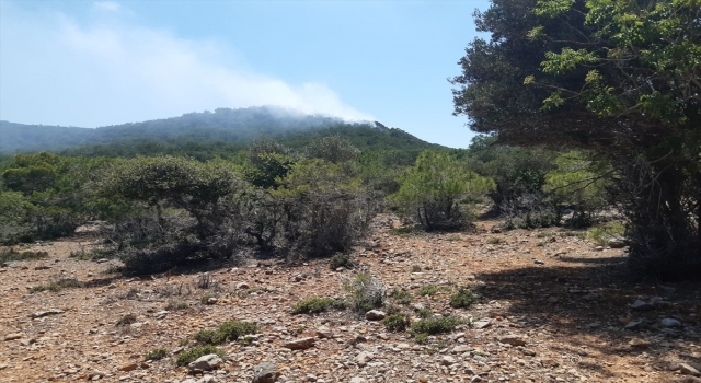 Mersin’de çıkan orman yangına müdahale ediliyor