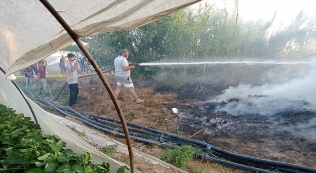 Antalya’da sazlık alanda çıkan yangın seralara zarar verdi