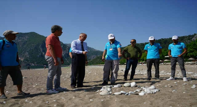 Antalya’da deniz kaplumbağalarının üreme yuvası kafesle korumaya alındı