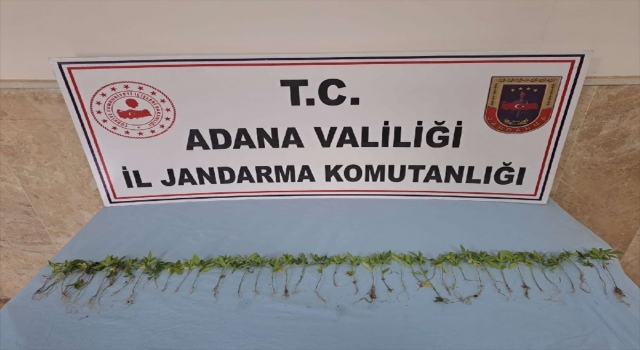 Adana’da uyuşturucu operasyonunda 8 şüpheli yakalandı