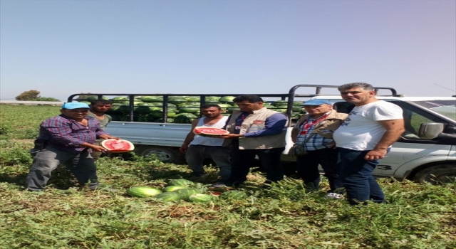 Mersin’de ”ham karpuz ve kavun timi” görevde